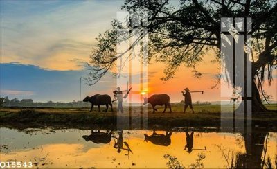 Tải file File gốc in tranh tổng hợp Q15543 (gốc) chủ đề tâm linh