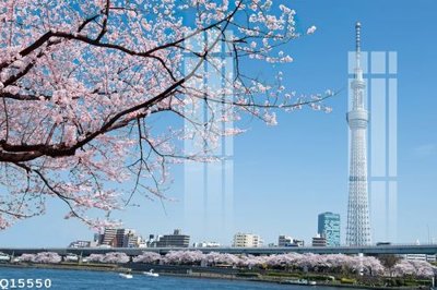 Tải file gốc File gốc in tranh tổng hợp Q15550 (bản PSD) còn layer