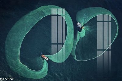 File gốc File gốc in tranh tổng hợp Q15556 (in tráng gương) ốp tường