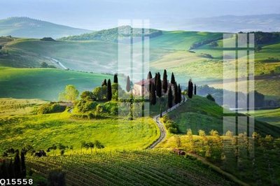 File in trần File gốc in tranh tổng hợp Q15558 (file gốc) phong thủy