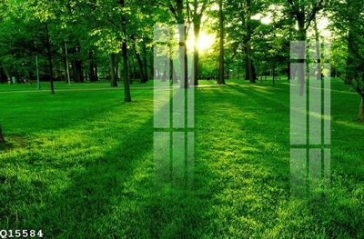 File in trần File gốc in tranh tổng hợp Q15584 (bản gốc) 5D