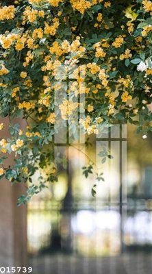 File gốc File gốc in tranh tổng hợp Q15739 (ảnh rõ nét) để in