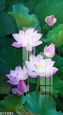 File ảnh gốc File gốc in tranh tổng hợp Q15827 (chuyên in mica)