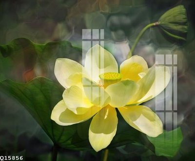 File tranh File gốc in tranh tổng hợp Q15856 (gốc) chủ đề trừu tượng