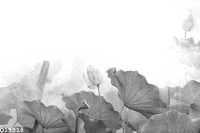 File gốc File gốc in tranh tổng hợp Q15918 (AI/EPS) cho in ấn