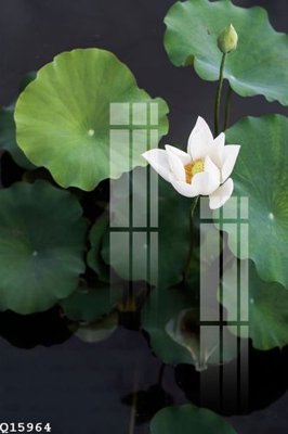 File gốc File gốc in tranh tổng hợp Q15964 (chuẩn CMYK) cho nhà in