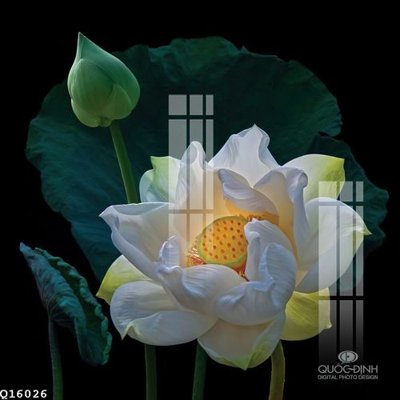 File tranh File gốc in tranh tổng hợp Q16026 (gốc) chủ đề trừu tượng