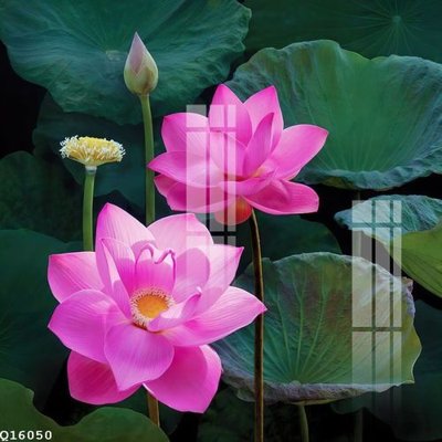 Tải file File gốc in tranh tổng hợp Q16050 (gốc) làm file thiết kế