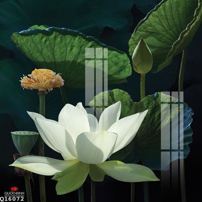 File tranh File gốc in tranh tổng hợp Q16072 (gốc) chủ đề trẻ em