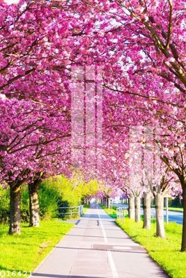 File tranh File gốc in tranh tổng hợp Q16421 (gốc) chủ đề trẻ em