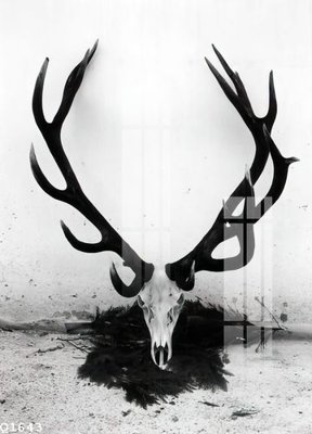 File gốc File gốc in tranh tổng hợp Q1643 (ảnh chi tiết) để in lụa