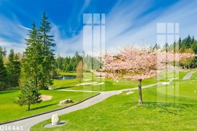 File tranh File gốc in tranh tổng hợp Q16441 (ảnh gốc) in trần xuyên sáng