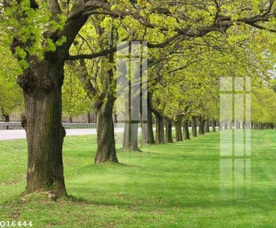 File tranh gốc in trần nhà File gốc in tranh tổng hợp Q16444 3D