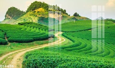 File tranh gốc File gốc in tranh tổng hợp Q16455 (sắc nét từng chi tiết)