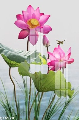 File in mica File gốc in tranh tổng hợp Q16528 (bản gốc) siêu trong