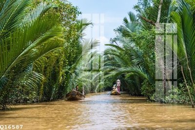 File tranh gốc File gốc in tranh tổng hợp Q16587 (sắc nét từng chi tiết)