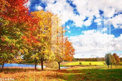 File gốc in ấn File gốc in tranh tổng hợp Q16656 (sẵn sàng tải về)