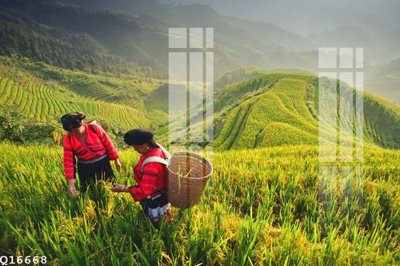 File gốc File gốc in tranh tổng hợp Q16668 (trang trí) phòng trẻ em