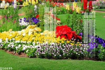 Tải về file tranh gốc File gốc in tranh tổng hợp Q16695 (để in quảng cáo)