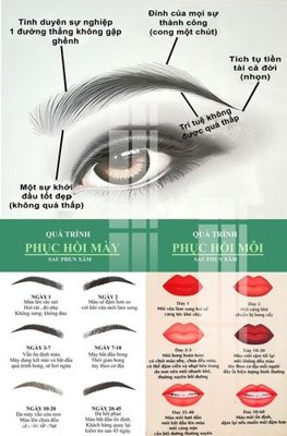 File gốc File gốc in tranh tổng hợp Q16719 (vector) cho in ấn