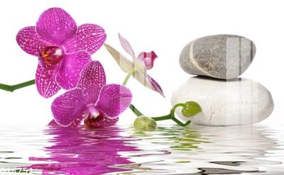 Tải file File gốc in tranh tổng hợp Q16751 (gốc) làm file tranh quảng cáo