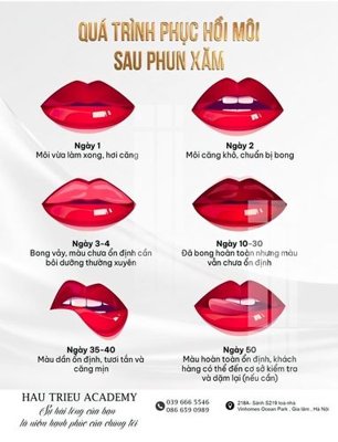 File gốc File gốc in tranh tổng hợp Q16793 (cho in ấn) từ kho Filetranh