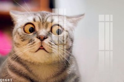 Hình ảnh file gốc File gốc in tranh tổng hợp Q1681 (chất lượng cao)