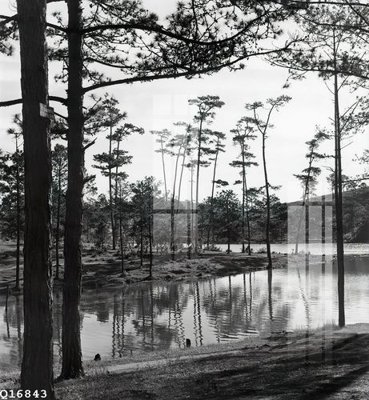 File in lụa File gốc in tranh tổng hợp Q16843 (chất lượng cao) File gốc in tranh tổng hợp Q16843