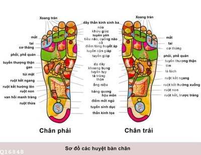 Tải file File gốc in tranh tổng hợp Q16848 (PSD) cho in ấn quảng cáo