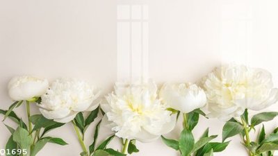 File gốc File gốc in tranh tổng hợp Q1695 (cho in ấn) độc quyền