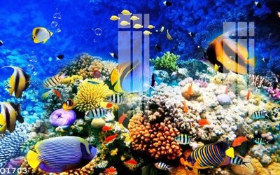 File tranh File gốc in tranh tổng hợp Q1703 (gốc) in film