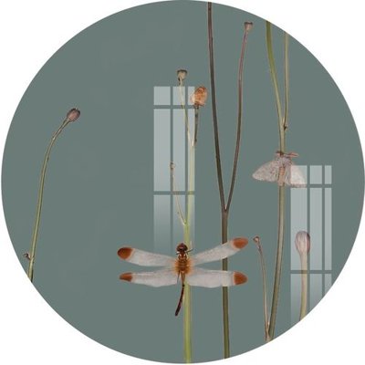 Tải file File gốc in tranh tổng hợp Q17579 (ảnh gốc) 300dpi File gốc in tranh tổng hợp Q17579