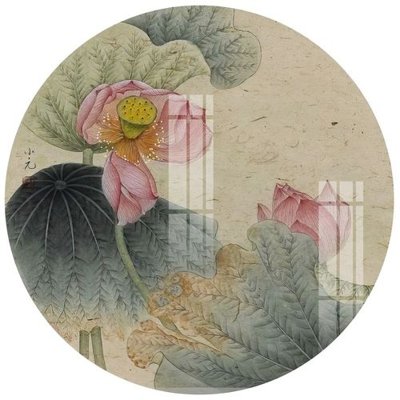 Tải file File gốc in tranh tổng hợp Q17618 (gốc) chủ đề hoa sen