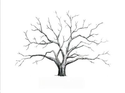 File gốc File gốc in tranh tổng hợp Q17620 (in lụa) hoa văn cổ điển