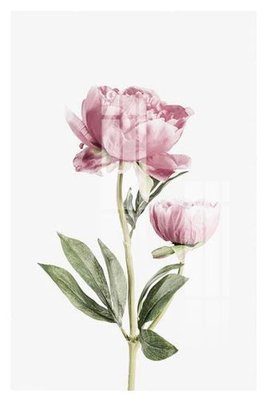 File tranh File gốc in tranh tổng hợp Q18057 (gốc) chủ đề thành phố