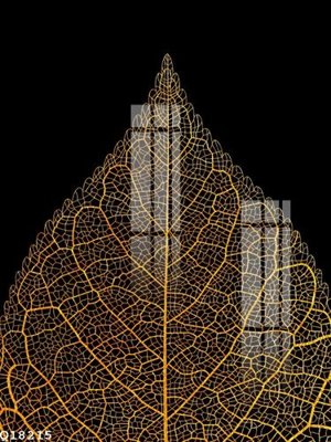 Tải file File gốc in tranh tổng hợp Q18215 (gốc) làm file tranh quảng cáo