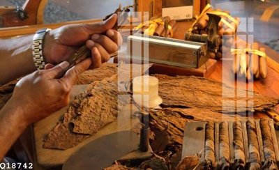 Tải file File gốc in tranh tổng hợp Q18742 (gốc) làm tranh trang trí