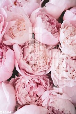 File gốc File gốc in tranh tổng hợp Q18845 (in ấn) không giới hạn