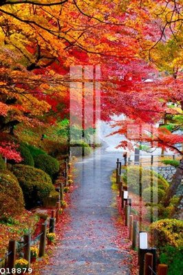 Ảnh gốc File gốc in tranh tổng hợp Q18879 (độ nét cao) in mica