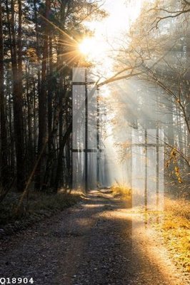 File tranh File gốc in tranh tổng hợp Q18904 (gốc) chủ đề trẻ em