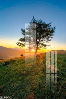 File in mica File gốc in tranh tổng hợp Q18932 (ảnh gốc) đẹp