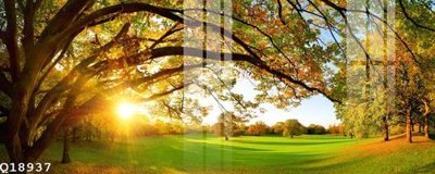 File tranh File gốc in tranh tổng hợp Q18937 (ảnh gốc) độ nét vượt trội