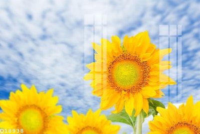 File tranh gốc PSD File gốc in tranh tổng hợp Q18938 còn nguyên layer