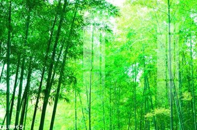 Tải file gốc File gốc in tranh tổng hợp Q18965 (in tráng gương) 3DFile gốc File gốc in tranh tổng hợp Q18965 (sẵn sàng in) chất lượng cao