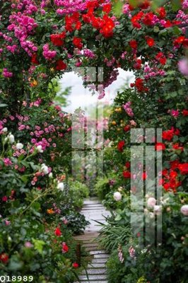 Tải file gốc in lụa File gốc in tranh tổng hợp Q18989 siêu nét