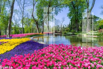 File gốc File gốc in tranh tổng hợp Q19014 (in mica) cắt laser