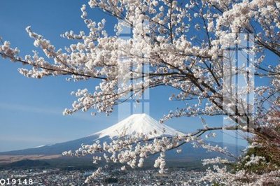 File ảnh File gốc in tranh tổng hợp Q19148 (gốc) in biển hiệu