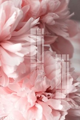 File gốc in tráng gương File gốc in tranh tổng hợp Q19155 chi tiết