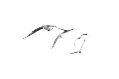 Tải file gốc File gốc in tranh tổng hợp Q19190 (in bạt) quảng cáo