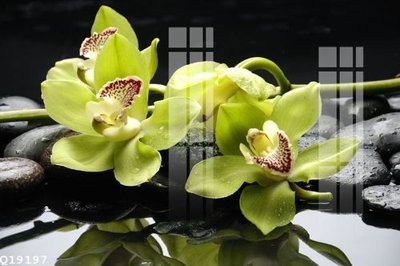 Mua file gốc File gốc in tranh tổng hợp Q19197 (chất lượng) tại Filetranh.com